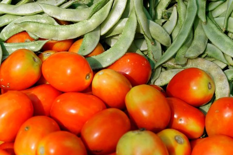 Udaipur, Rajasthan, North India, Asia, Fresh tomatoes and green beans lying side by side on a