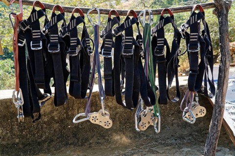 Climbing harnesses and ropes hanging ready for use on a wooden frame, Ranakpur, Jodhpur, Rajasthan,