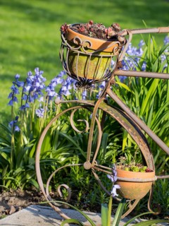 Metal bicycle with flower pot, surrounded by green meadow, borken, münsterland, germany