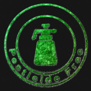 Pesticide Free Green Symbol Drawn on Black Background