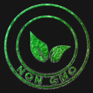 Non Gmo Green Symbol Drawn on Black Background
