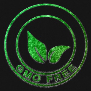 Gmo Free Green Symbol Drawn on Black Background