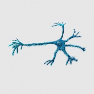 Neuron Axon, Mind and Psychology Concept