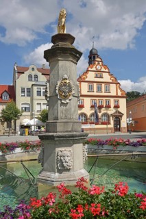 Market square with market fountain with column and heraldic animal, town hall, floral decoration,