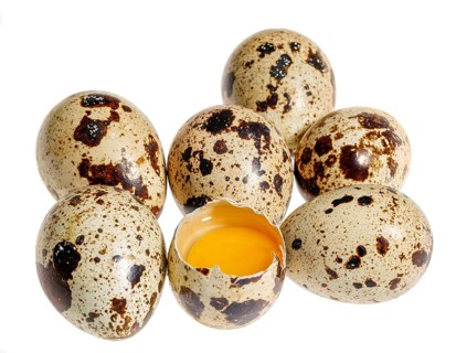 Some brown dappled quail eggs with a opened one in white back