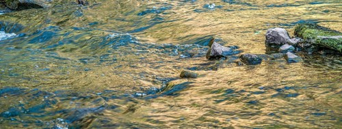 Closeup shot of some flowing water at a small river