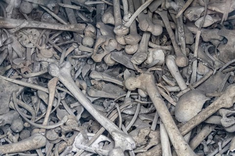 Lots of human bones from fallen soldiers seen at the Douaumont Ossuary, a memorial located near