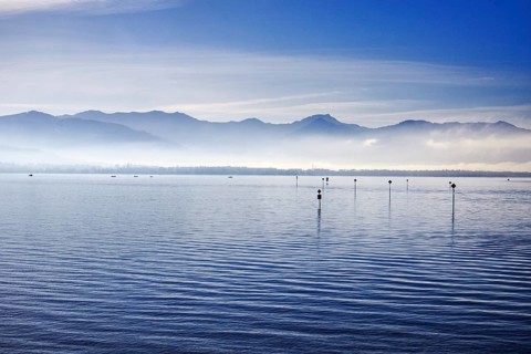 A calm Lake Constance with mountains and fog in the morning light under a blue sky, Lindau