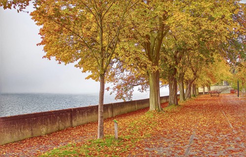 A walk along Lake Constance with trees in autumn leaves and peaceful surroundings, Lindau