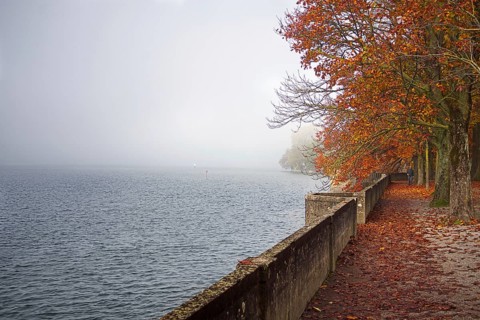 A misty autumn day on Lake Constance with trees in red-orange autumn leaves, Lindau