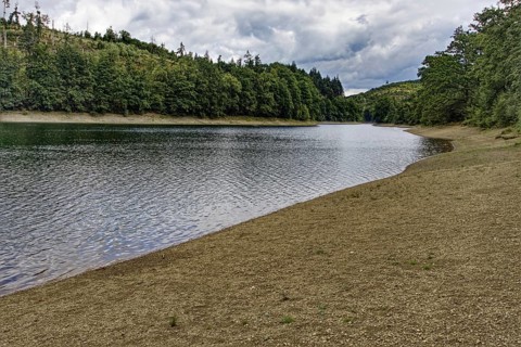 Shore of the Aggertalsperre with forest and cloudy sky in a quiet environment, Bergneustadt