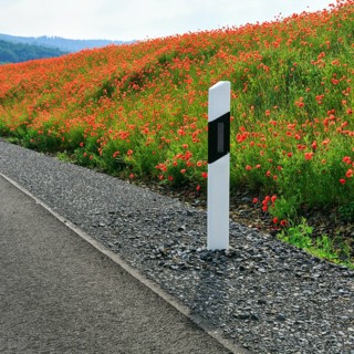 Delineator post at the edge of the carriageway, poppy blossom, Eschershausen, Weserbergland,