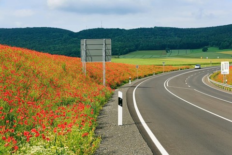 Empty federal road B 240, little car traffic, poppy blossom on the roadside, Eschershausen,