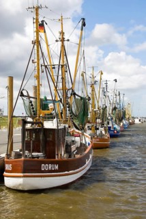 Fishing harbour, Dorumer Neufeld, Lower Saxony, Germany, Dorumer Neufeld harbour, Dorumer Neufeld,