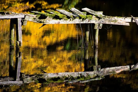 Dilapidated jetty in the castle gardens of Rastede, Oldenburg, Northern Germany, Germany