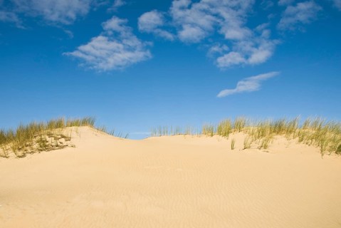 Dune landscape in front of a blue sky on the beach of Norddorf on the North Frisian island of
