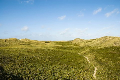 The Frisian Caribbean, North Frisian island of Amrum, North Frisia, North Germany, Germany
