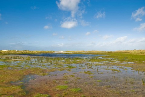 Water reservoir between the dunes of the North Frisian island of Amrum, Amrum, Norddorf, North