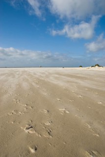 A strong storm whistles across the desert-like western beach of the North Frisian island of Amrum,