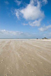 A strong storm whistles across the desert-like western beach of the North Frisian island of Amrum,
