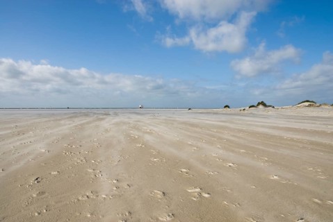A strong storm whistles across the desert-like western beach of the North Frisian island of Amrum,