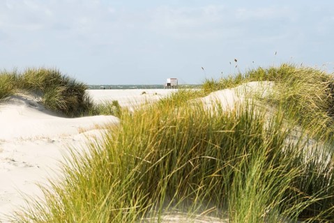 The Frisian Caribbean, North Frisian island of Amrum, North Frisia, North Germany, Germany