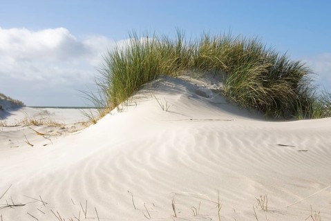 The Frisian Caribbean, North Frisian island of Amrum, North Frisia, North Germany, Germany