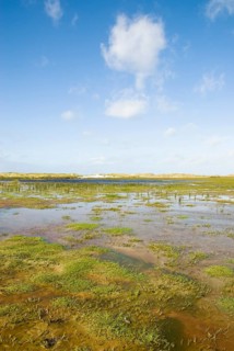 Water reservoir between the dunes of the North Frisian island of Amrum, Amrum, Norddorf, North