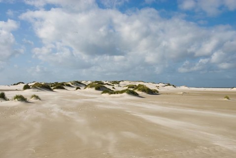 A strong storm whistles across the desert-like western beach of the North Frisian island of Amrum,