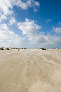 A strong storm whistles across the desert-like western beach of the North Frisian island of Amrum,