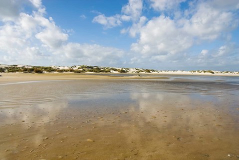 Water reservoir between the dunes of the North Frisian island of Amrum, Amrum, Norddorf, North