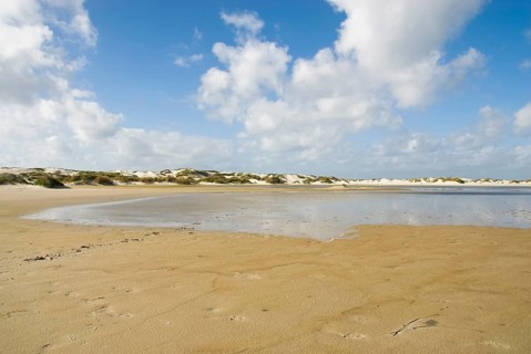 Water reservoir between the dunes of the North Frisian island of Amrum, Amrum, Norddorf, North