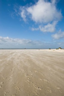 A strong storm whistles across the desert-like western beach of the North Frisian island of Amrum,