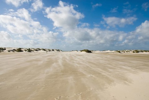 A strong storm whistles across the desert-like western beach of the North Frisian island of Amrum,