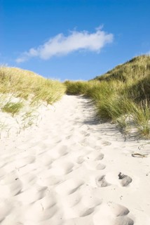 Dune landscape in front of a blue sky on the beach of Norddorf on the North Frisian island of