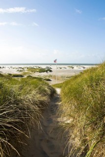 Dune landscape in front of a blue sky on the beach of Norddorf on the North Frisian island of