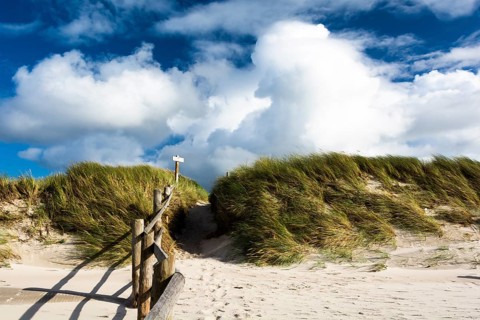 Duenenweg am Prerower Weststrand, Ruegen, Prerower Weststrand, Ruegen, Germany