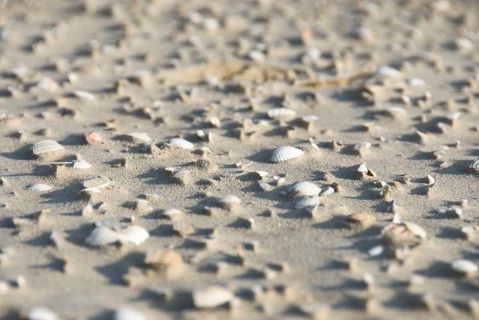 Impressions of the beach in the village of Süddorf on the North Frisian island of Amrum, Amrum,