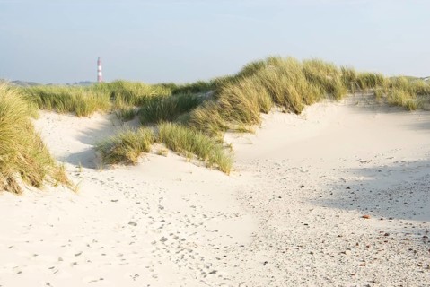 Impressions of the beach in the village of Süddorf on the North Frisian island of Amrum, Amrum,