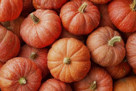 Hokkaido pumpkin, edible pumpkin, full-size, AI generated