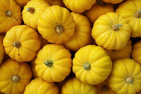 Hokkaido pumpkin, edible pumpkin, full-size, AI generated