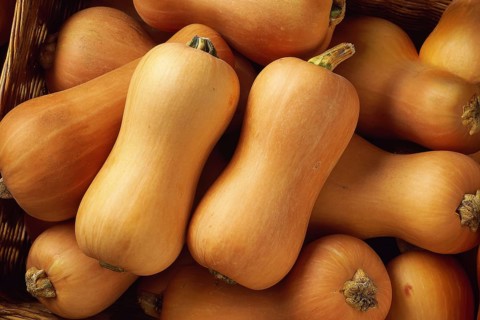 Butternut, pear pumpkin, edible pumpkin, full-size, AI generated