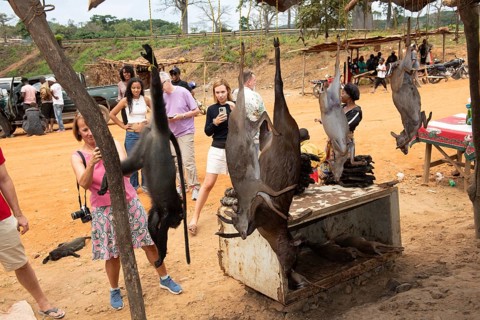 Tourists photograph poached monkeys and antelopes at a street market near Dondo, Bengo province,