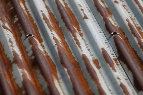 Rusty corrugated metal sheet with weathered texture and visible bolts, Gazipur, Bangladesh