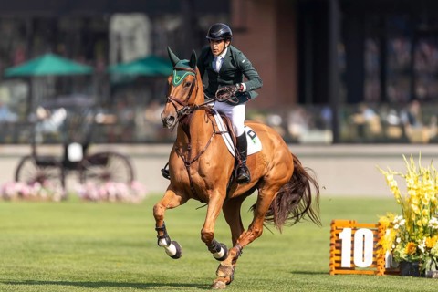 Gabriel De Matos Machado of Brazil, riding Nyles Van de Mottelhoeve, competes in the first round of
