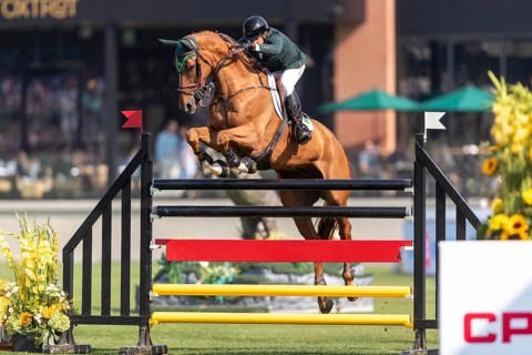 Gabriel De Matos Machado of Brazil, riding Nyles Van de Mottelhoeve, competes in the first round of