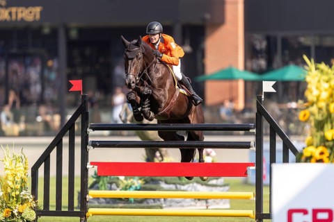 Michael Greeve of the Netherlands, riding Denver, competes in the first round of the 2025 BMO