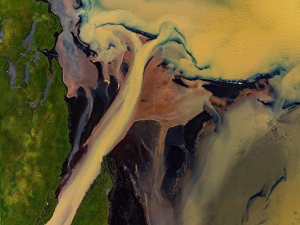 River, river course, river delta, branches, aerial view, wild river, summer, marshland, sediments,