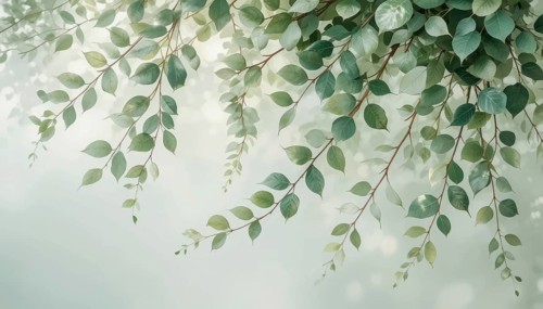 Branches laden with vibrant green leaves gently hang against a blurred, ethereal background. The