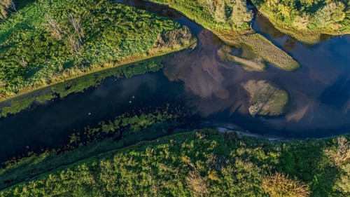 The tranquil oxbow lake of the Danube meanders through lush greenery. The surrounding area features